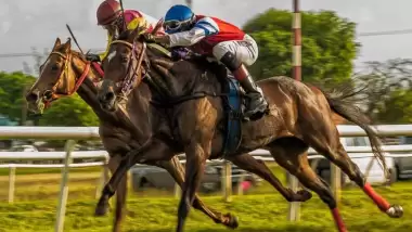 Yarışsever sanal bahis istiyor Spor Toto susuyor!