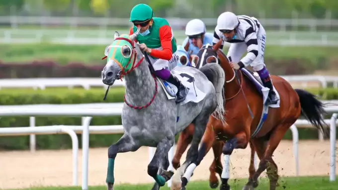 74. Tarım ve Orman Bakanlığı Koşusu ne zaman, nerede yapılacak?