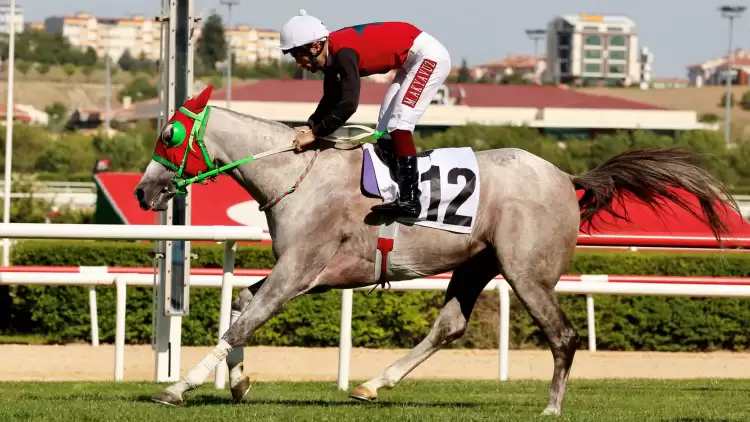 At Yarışı Haberleri | Tarım ve Orman Bakanlığı Koşusu’nu Mehmet Akyavuz ile Sertberk Kazandı
