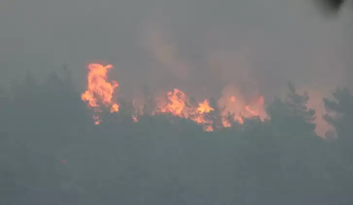 Marmaris'te Orman Yangını