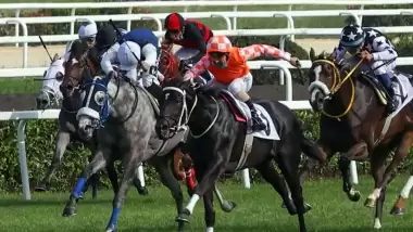 96. Gazi Koşusu İstanbul Veliefendi Hipodromu'nda!