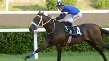 Yürekleri burkan olay! Dollar Man uyutuldu!