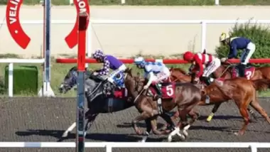 TSYD Koşusu'nu Şimşek Efe kazandı