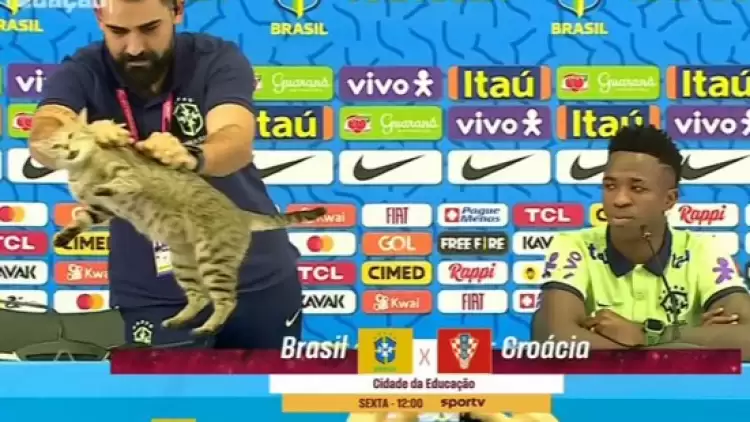 Tercüman, Vinicius Junior'un basın toplantısındaki kediyi yere fırlattı! 