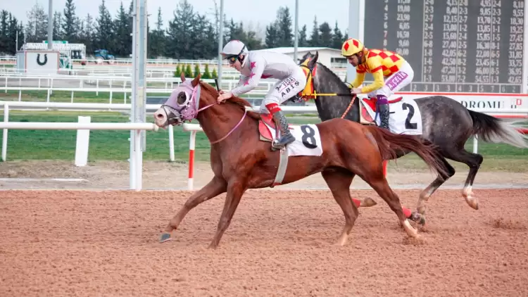 Adana'da Düzenlenen G2 koşuyu Tanışık Kazandı