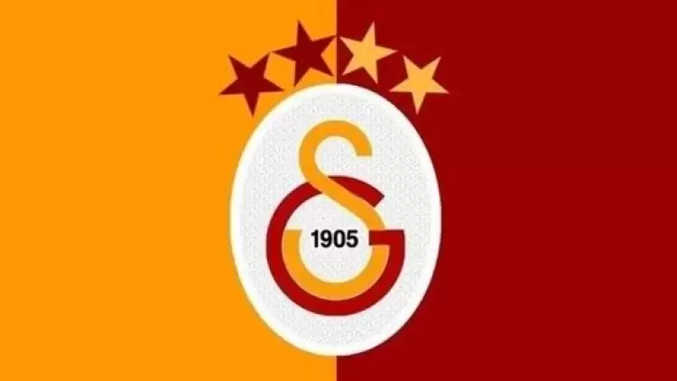 Galatasaray, Erce Kardeşler ile görüşüyor