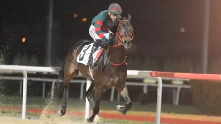 İzmit Koşusu'nu Mirbey Kazandı | At Yarışı Haberleri