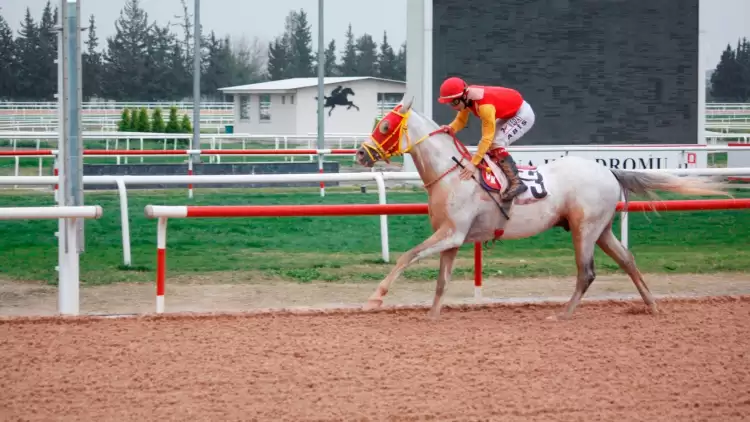 Adana Vali Koşusu'nu Mahzunkral Kazandı 