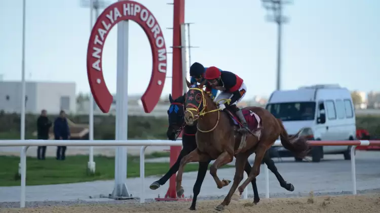 Antalya Emniyet Müdürlüğü Koşusu'nu Another Boy Kazandı 