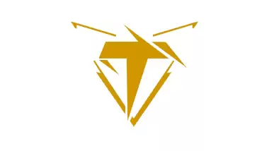 Thunderbolts Gaming takımı, Espor sektöründen çekildi!