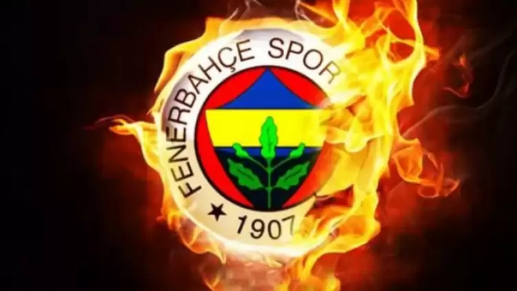 Fenerbahçe Kadın Voleybol Takımı, Stefano Lavarini İle Anlaştı