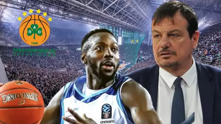 Panathinaikos BC Koçu Ergin Ataman Türk Telekom'un Yıldızını Transfer Ediyor