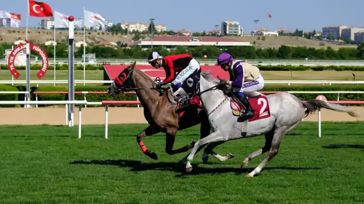 Cemal Tekelioğlu Koşusu’nu Canko Kazandı 