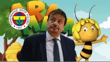 F.Bahçe Yönetim Kurulu Üyesinden Ataman'a Arı Maya'lı gönderme!