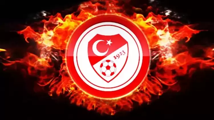 PFDK, Fenerbahçe, Samsunspor ve Konyaspor'a ceza yağdırdı