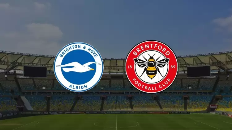 Brighton - Brentford maçı ne zaman, saat kaçta, hangi kanalda?