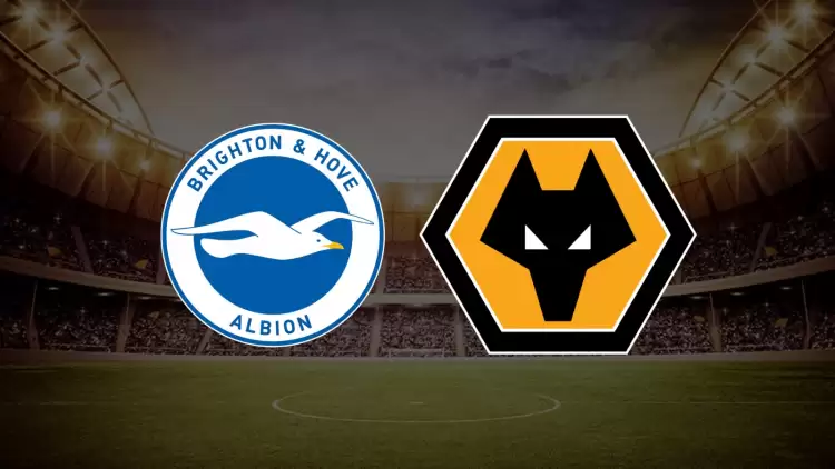 CANLI| Brighton- Wolves maçını canlı izle (Maç linki)