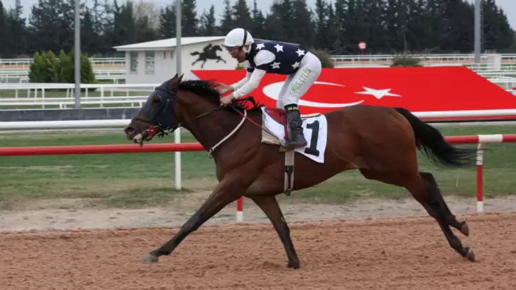 Adana’da düzenlenen G2 koşunun galibi Chariot oldu