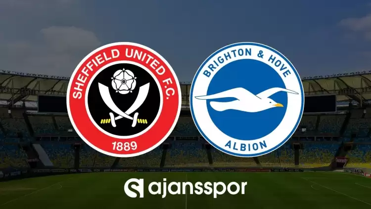 Sheffield United - Brighton maçının canlı yayın bilgisi ve maç linki