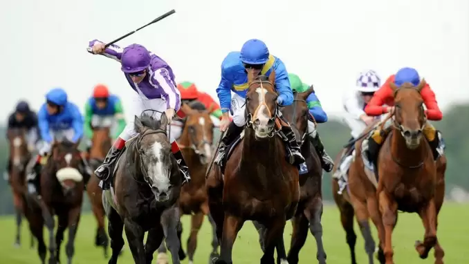 TJK'den 3 şirkete Sanal Bahis Bürosu