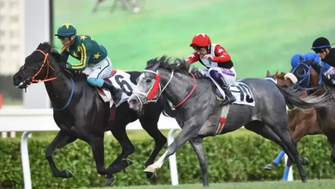 Gazi Koşusu'na katılacak atlar hangileri? Gazi Koşusu tahminleri...