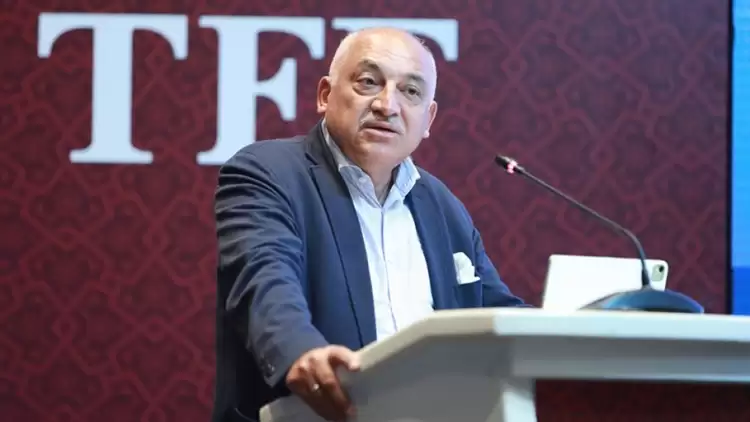 Mehmet Büyükekşi: "Milli takımımızla gurur duyuyoruz"