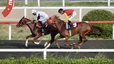  TSYD Koşusu'nda kazanan "O Bir Çelik" oldu