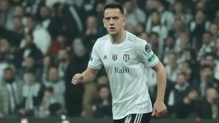 Beşiktaş, Amir Hadziahmetovic'in lisansını çıkardı