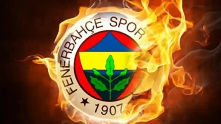 Fenerbahçe'de ara transfer dönemi bilançosu! Gelenler, gidenler...