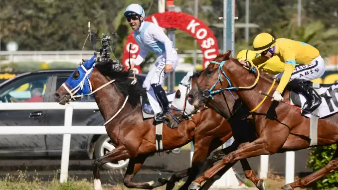 İZLE | 99. Gazi Koşusu'nu Ahmet Çelik kazandı! Şampiyon at Cutha...
