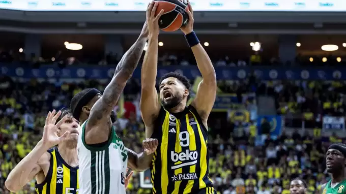 Eski Fenerbahçeli, Avrupa'ya Karadağ ile dönüyor