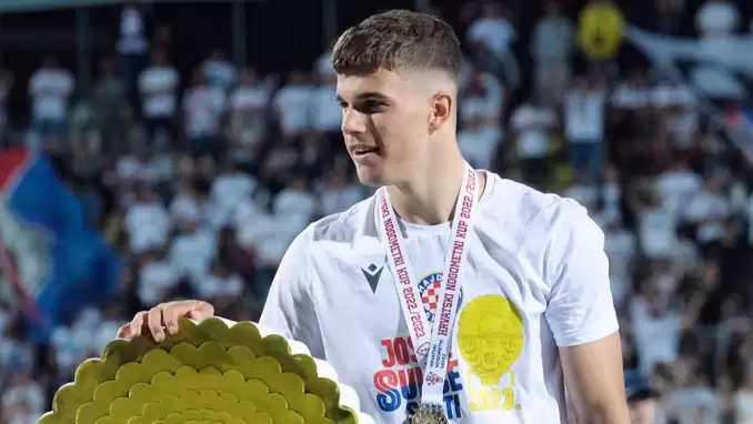 Süper Lig devi Luka Vuskovic için devrede