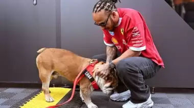 Lewis Hamilton’dan duygulandıran paylaşım: Roscoe’nun LEGO portresi hayran bıraktı