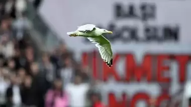 Tüpraş Stadyumu'nda martı indi! Süleyman Seba akıllara geldi...