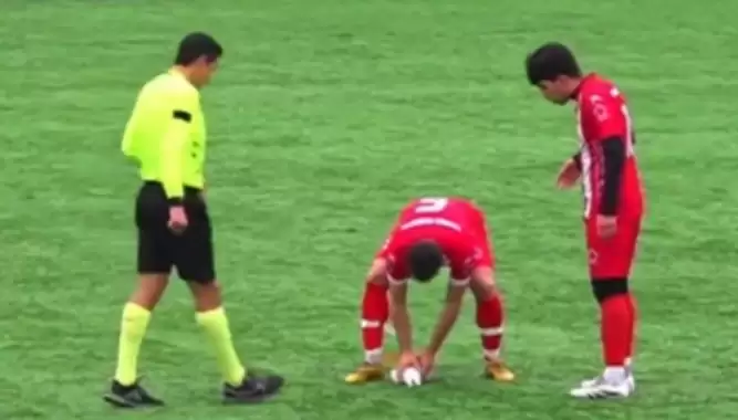 Maçta martıya top çarptı! Futbolcunun yaptığı kalp masajı hayata döndürdü