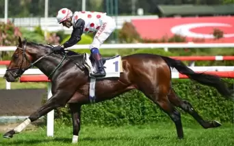 Seçim tarihi değişti, Gazi Koşusu ertelendi