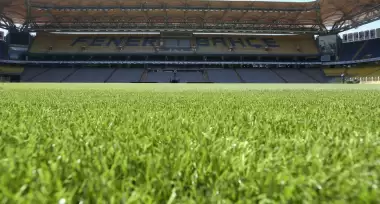 Hibrit çim beğeni topladı