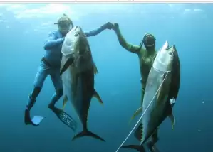 "En iyi balık avlayan" oldular!