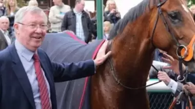 Ferguson'un milyonluk atı İstanbul'a geliyor