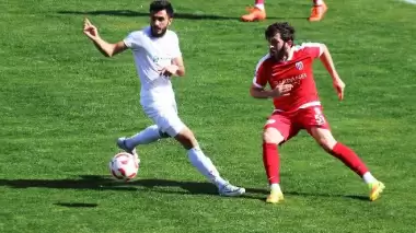 Çanakkale Dardanel, Bölgesel Amatör Lig'e düştü