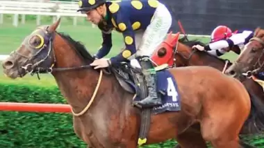 Fenerbahçeli oyuncuların ismini atlara verdi!