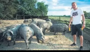Transferin gözdesi Vida konuştu: 35’ten sonra köyüme döneceğim