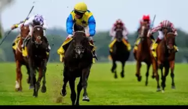 TJK, Amerika yarışlarını kesti!