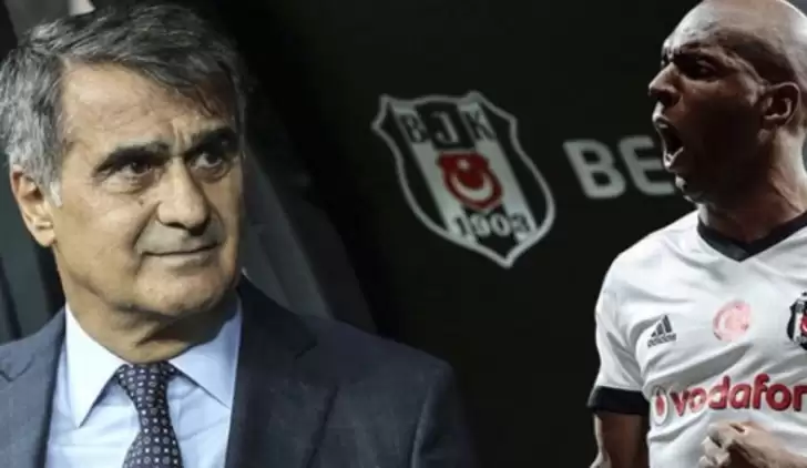 Olay iddia: "Şenol Güneş ile Babel kavga etti"