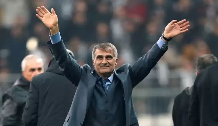 Şenol Güneş'e milli görev! Arnavutluk ve Moldova maçlarında...